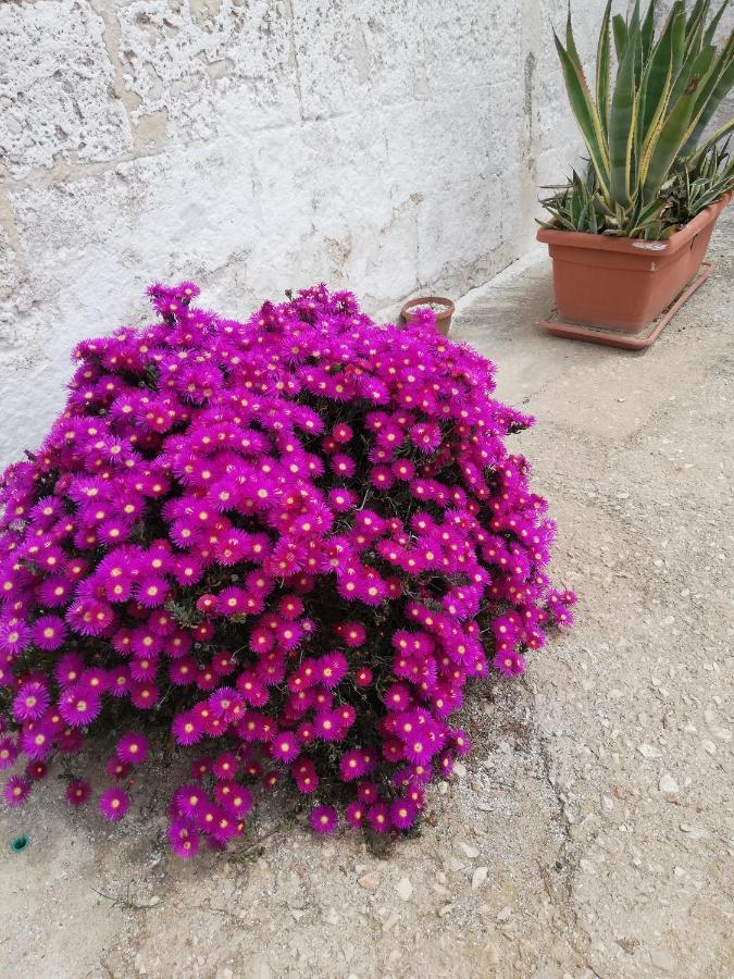 Masseria Ricci Fasano Buitenkant foto