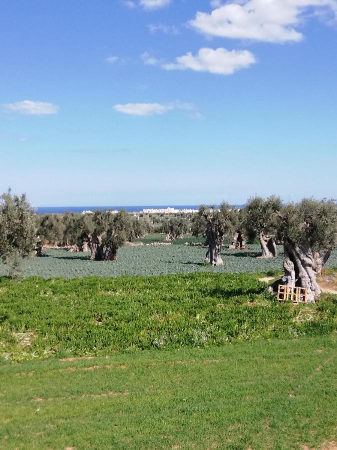 Masseria Ricci Fasano Buitenkant foto