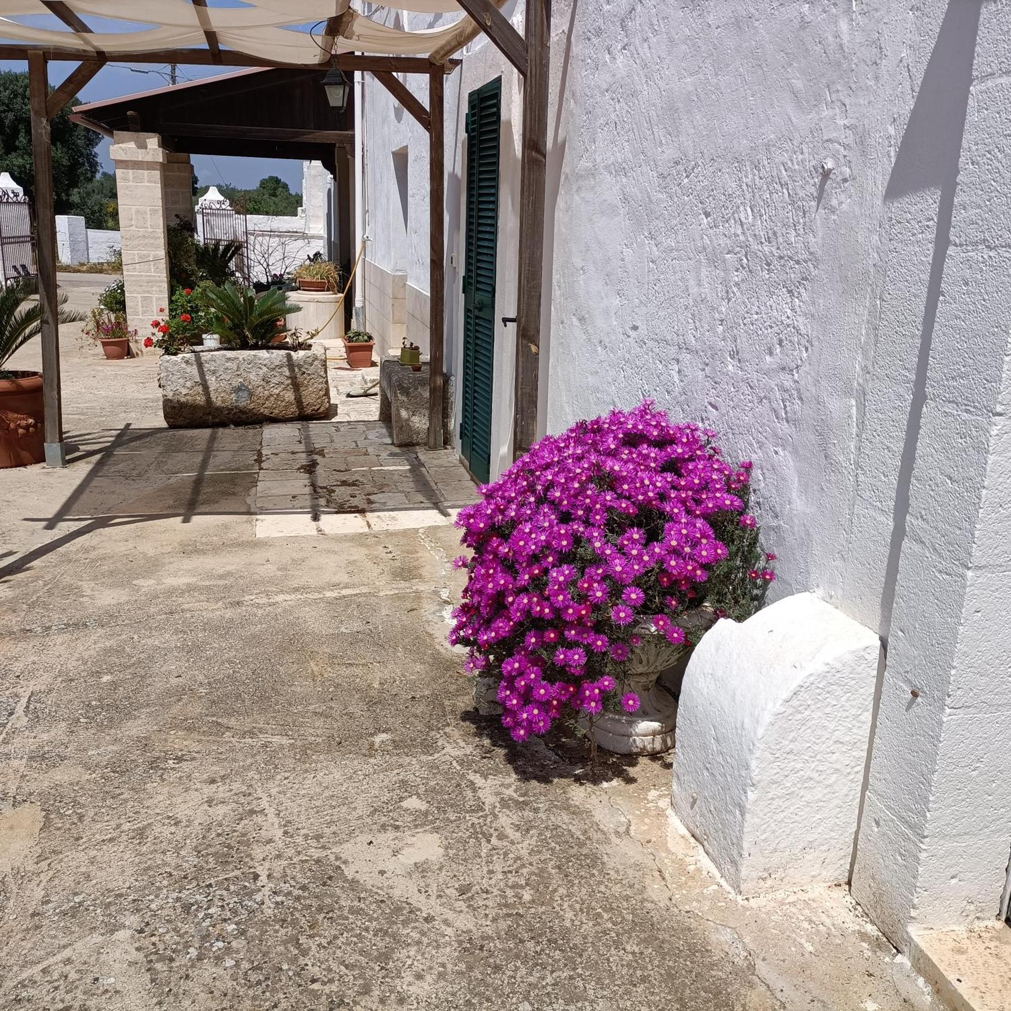 Masseria Ricci Fasano Buitenkant foto