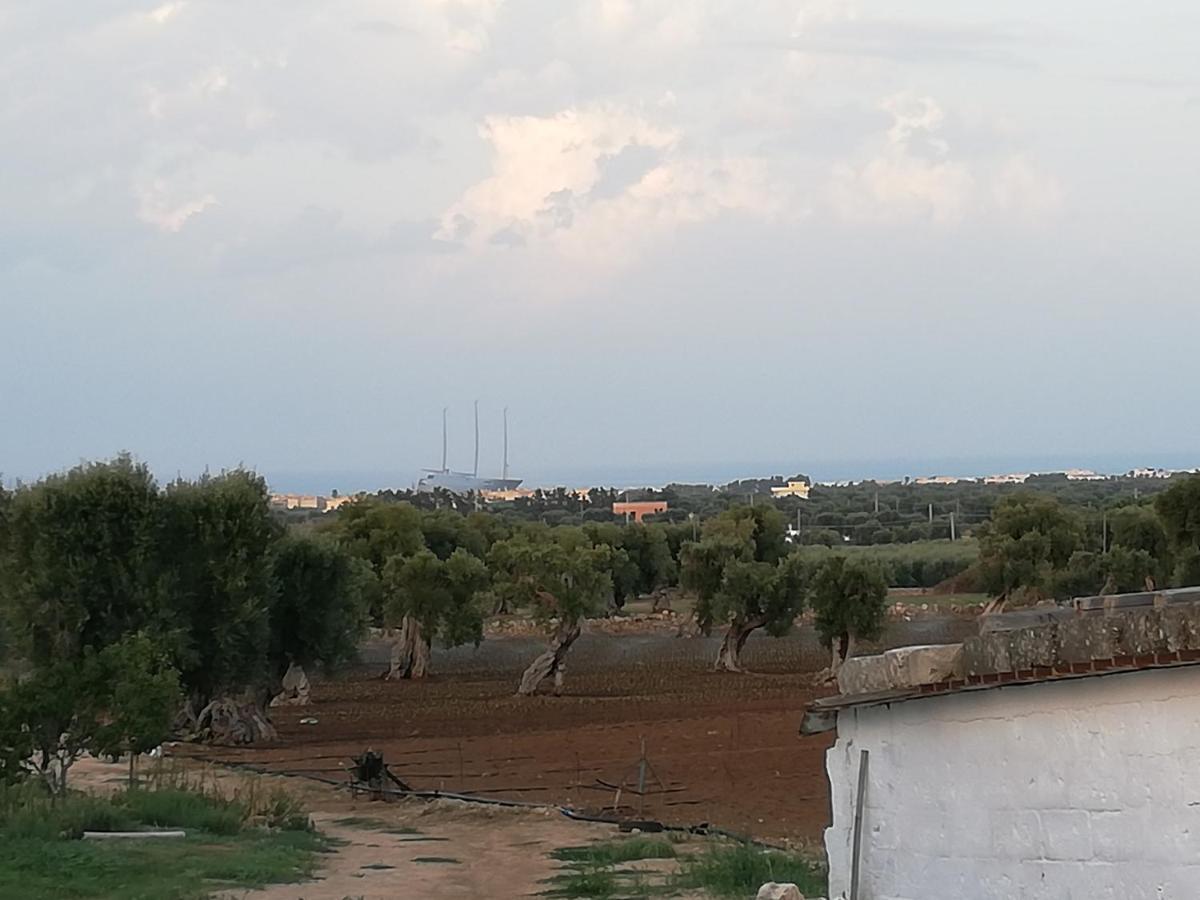 Masseria Ricci Fasano Buitenkant foto