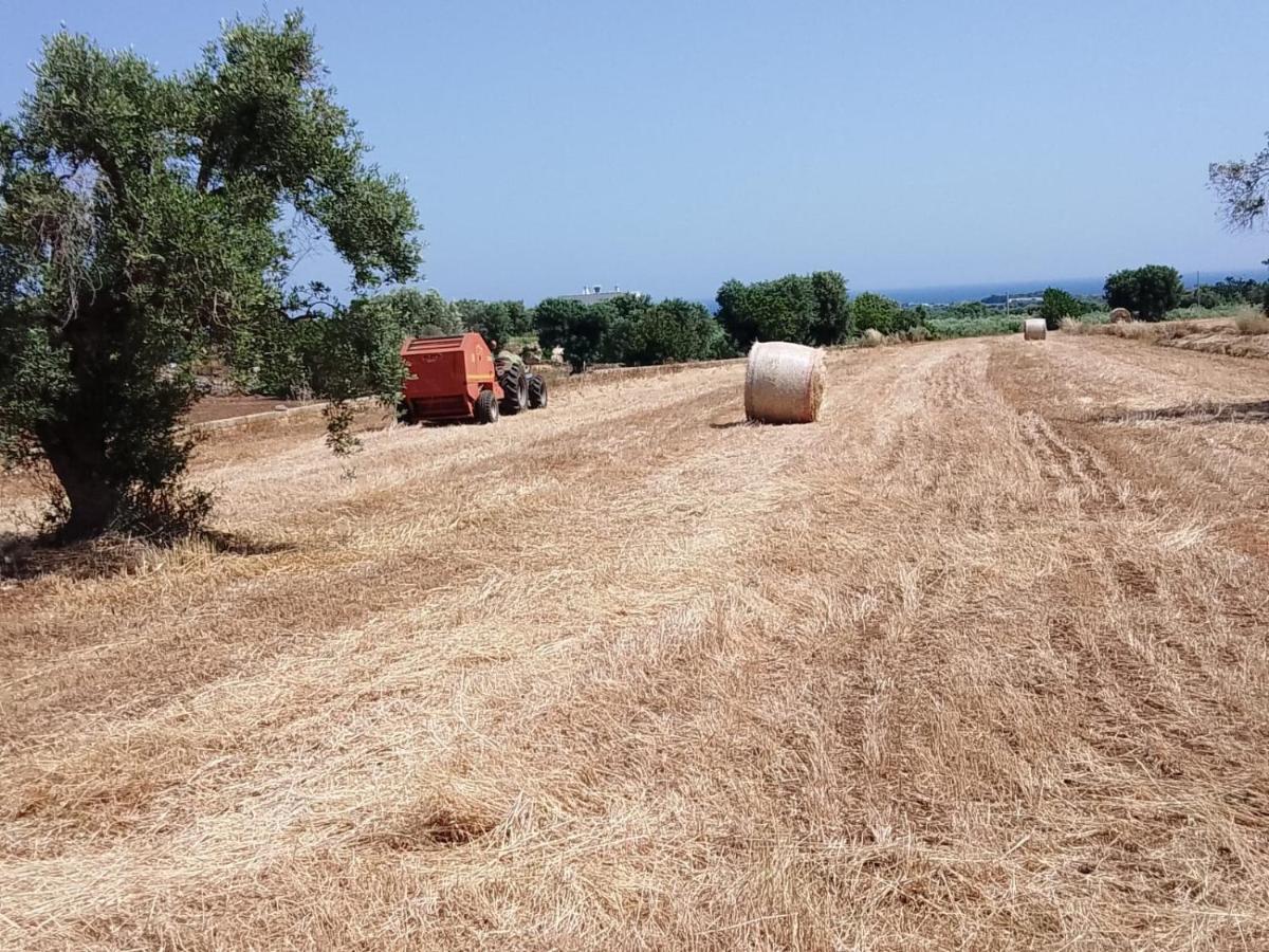 Masseria Ricci Fasano Buitenkant foto