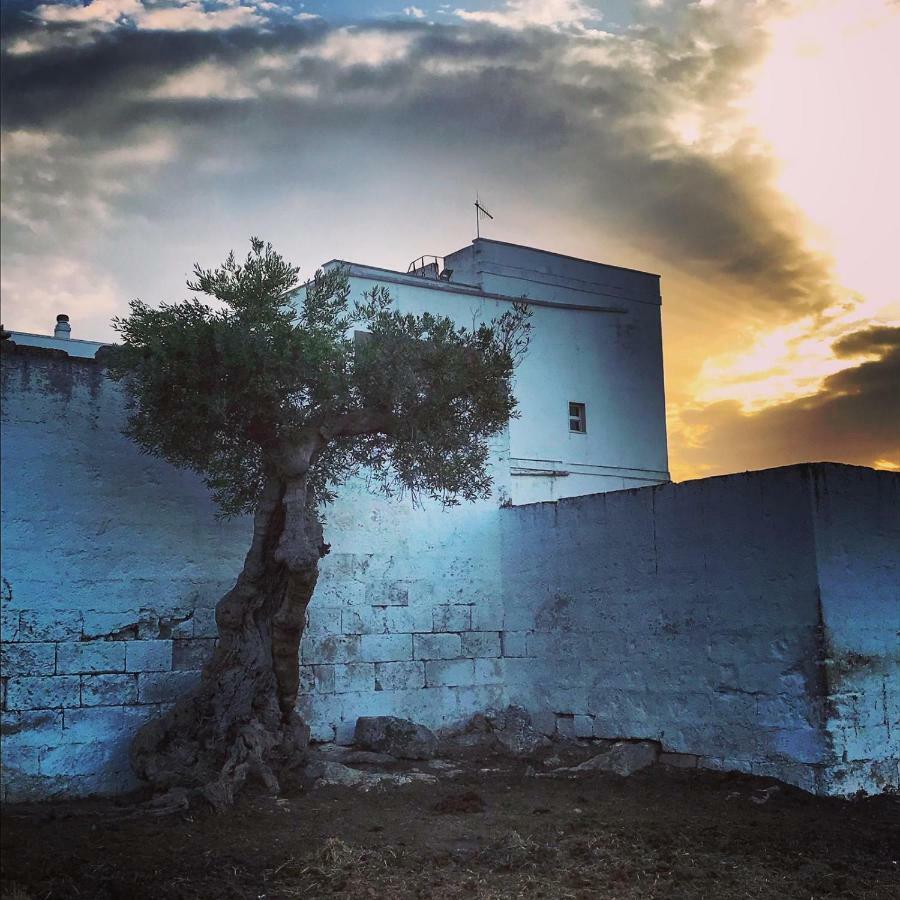 Masseria Ricci Fasano Buitenkant foto